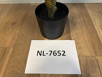 Red side rodhea kunstplant (160cm hoog) - afbeelding 9 van  14