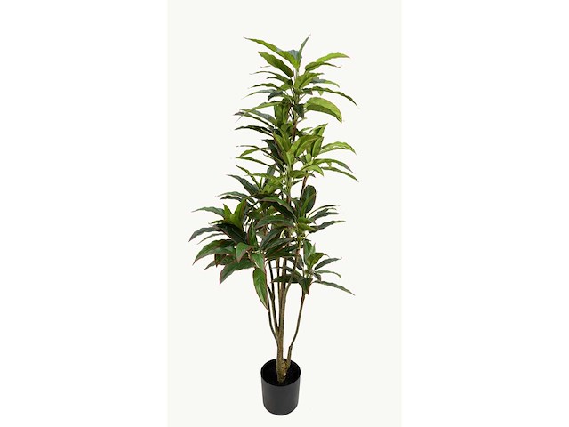 Red side rodhea kunstplant (160cm hoog) - afbeelding 3 van  7