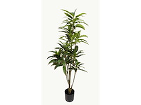 Red side rodhea kunstplant (160cm hoog) - afbeelding 7 van  14