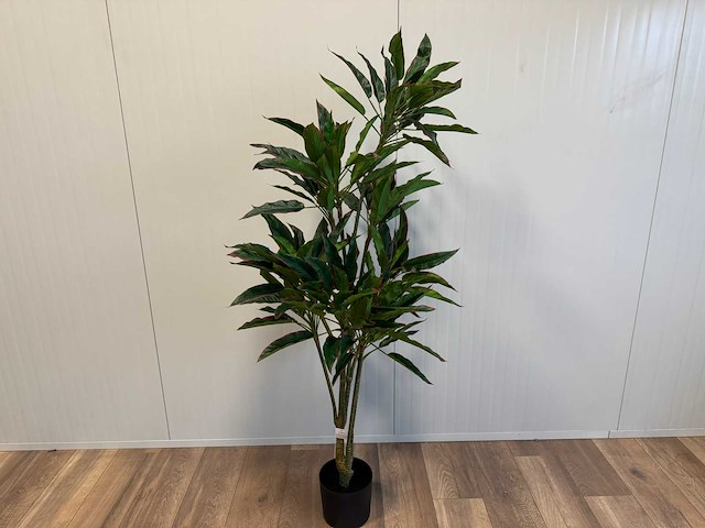 Red side rodhea kunstplant (160cm hoog) - afbeelding 8 van  14