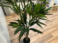 Red side rodhea kunstplant (160cm hoog) - afbeelding 4 van  14