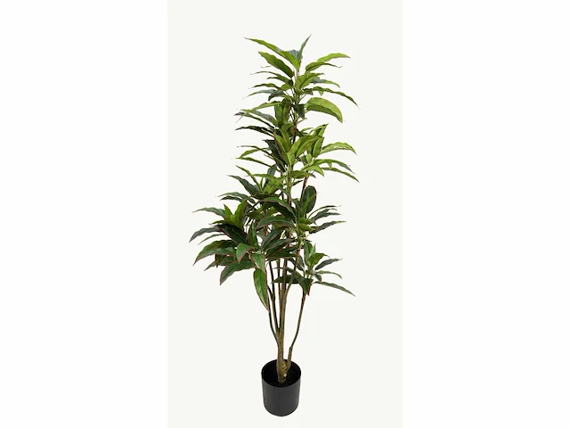 Red side rodhea kunstplant (160cm hoog) - afbeelding 7 van  14