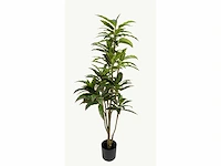 Red side rodhea kunstplant (160cm hoog) - afbeelding 7 van  14