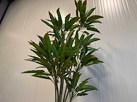 Red side rodhea kunstplant (160cm hoog) - afbeelding 11 van  14