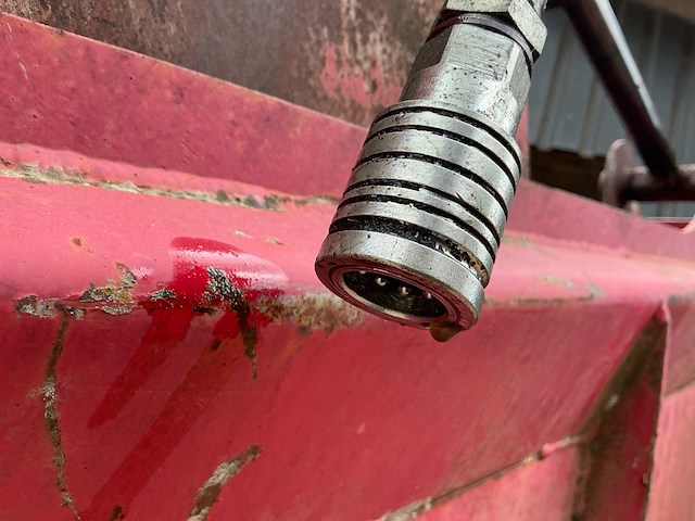 Redrock kuilhapper mestriek - afbeelding 11 van  13