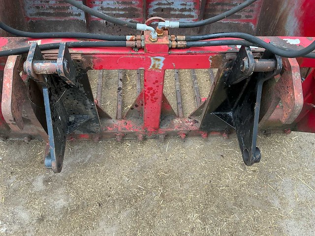 Redrock kuilhapper mestriek - afbeelding 13 van  13