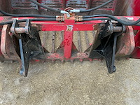 Redrock kuilhapper mestriek - afbeelding 13 van  13