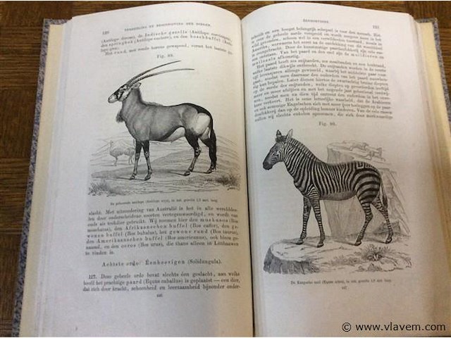 Reeks : boek der natuur - afbeelding 6 van  6