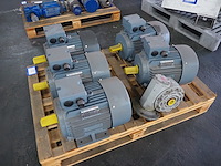 Regal beloid - afbeelding 2 van  6