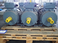 Regal beloid - afbeelding 4 van  6