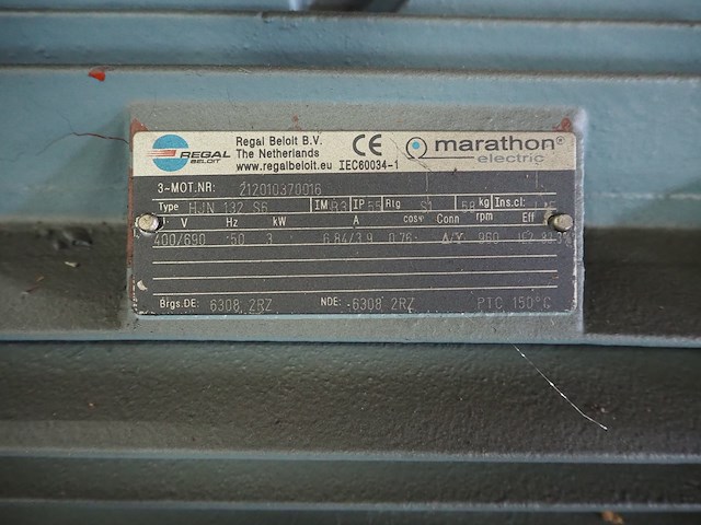 Regal beloid - afbeelding 5 van  6