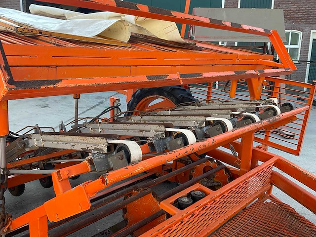 Regero sla planter - afbeelding 2 van  11