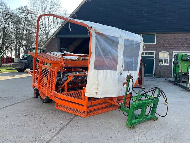 Regero sla planter - afbeelding 5 van  11