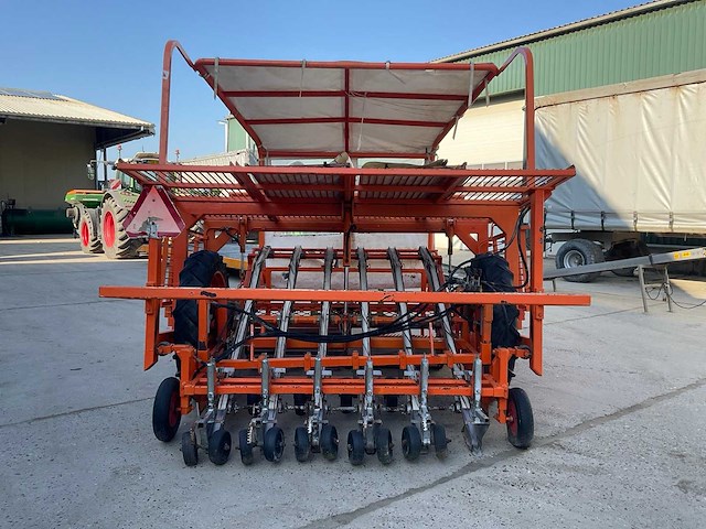 Regero sla planter - afbeelding 7 van  11