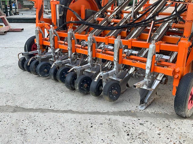 Regero sla planter - afbeelding 8 van  11