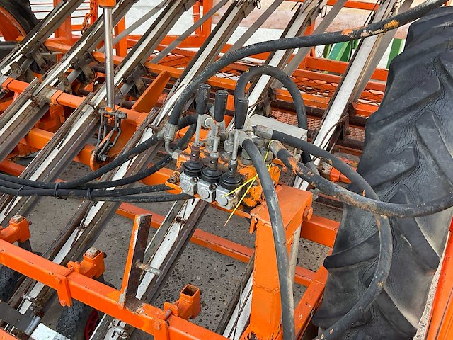 Regero sla planter - afbeelding 9 van  11