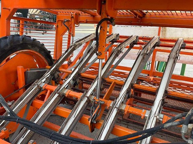 Regero sla planter - afbeelding 10 van  11