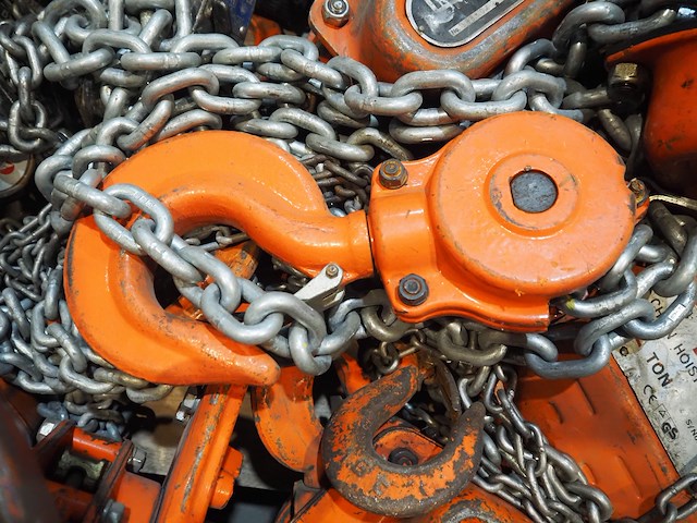 Rema - afbeelding 16 van  16