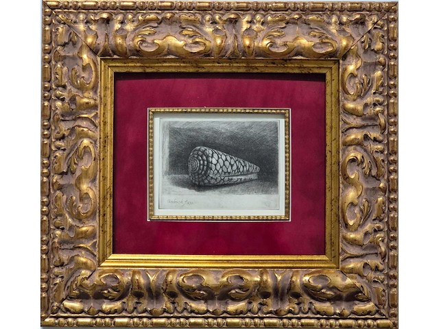 Rembrandt - afbeelding 2 van  4