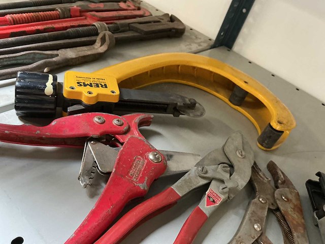 Rems buizensnijder (5x) - afbeelding 2 van  2