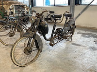 Renata aricia brommer - afbeelding 2 van  6