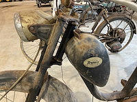 Renata aricia brommer - afbeelding 5 van  6