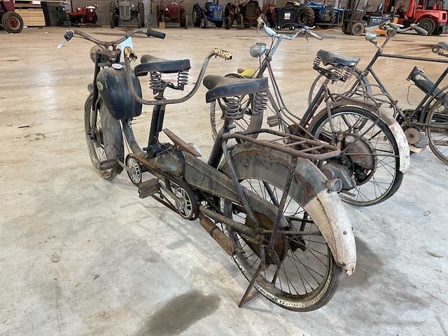 Renata aricia brommer - afbeelding 6 van  6