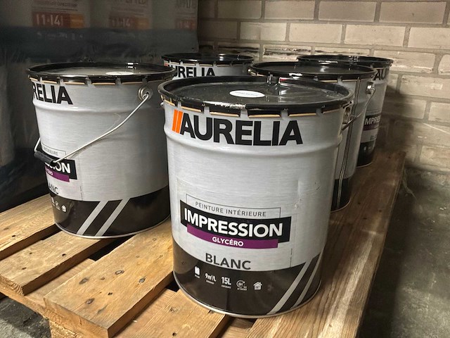 Renaulac glysero impregnatie/grondlaag (5x) - afbeelding 1 van  4