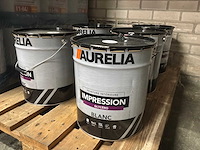 Renaulac glysero impregnatie/grondlaag (5x) - afbeelding 1 van  4