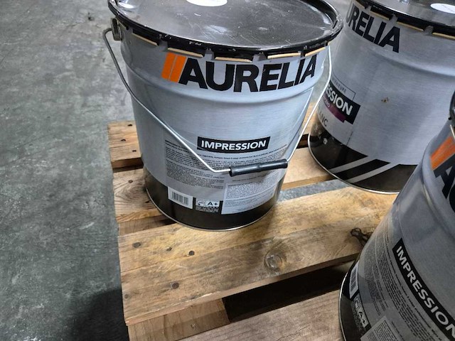 Renaulac glysero impregnatie/grondlaag (5x) - afbeelding 2 van  4