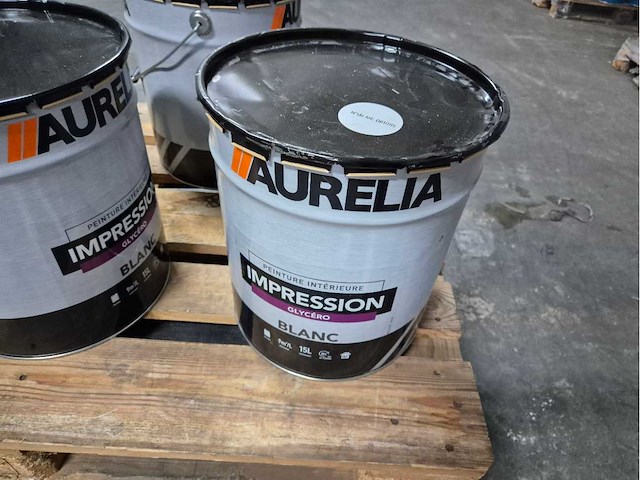 Renaulac glysero impregnatie/grondlaag (5x) - afbeelding 4 van  4