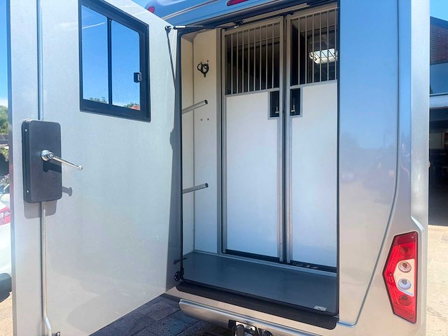 Renault - master - stx - paardenwagen - paardentruck - paardentrailer - t35 2.3 dci l3h1 - 1700 km - afbeelding 4 van  22