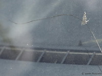 Renault kangoo express 1.5 dci 50kw l1 e4 bedrijfsauto - kenteken: 4-vgj-07 - afbeelding 24 van  32