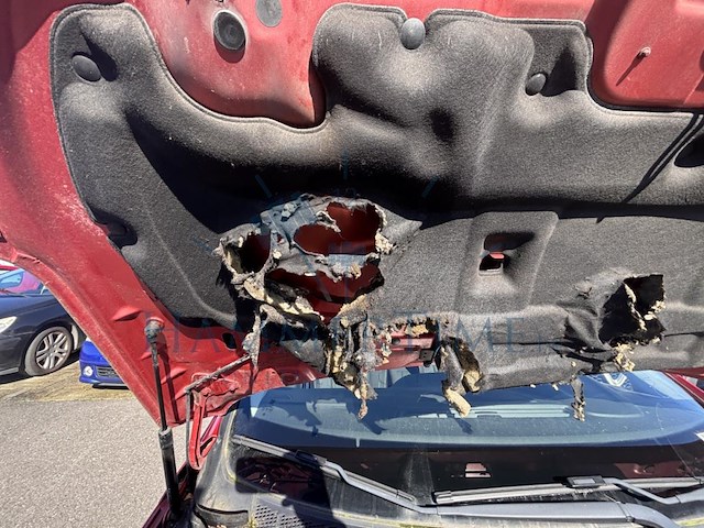 Renault megane zen energy tce, 2016 - afbeelding 21 van  37