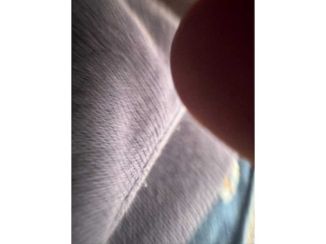 Renault paardenwagen - afbeelding 25 van  42