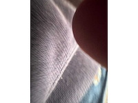 Renault paardenwagen - afbeelding 25 van  42