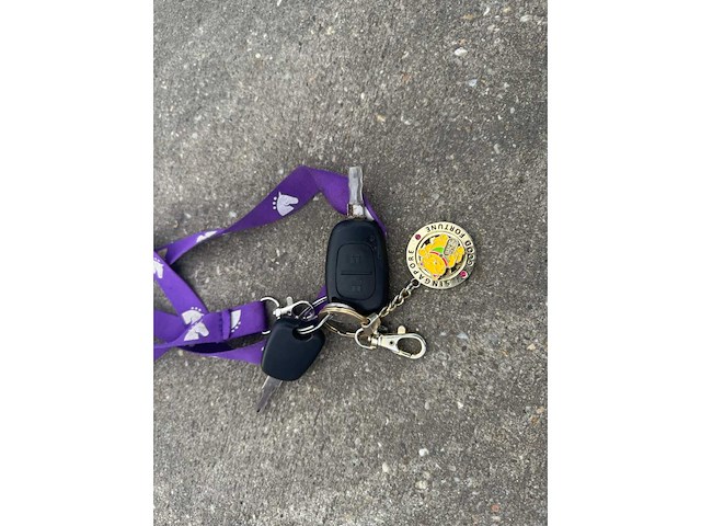 Renault paardenwagen - afbeelding 37 van  42