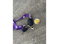 Renault paardenwagen - afbeelding 37 van  42