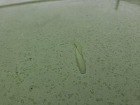 Renault twingo 1.2i hello, 2004 - afbeelding 33 van  40