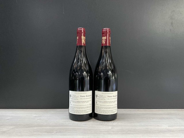 Rene cacheux vosne-romanee 2020 (2x) - afbeelding 2 van  4