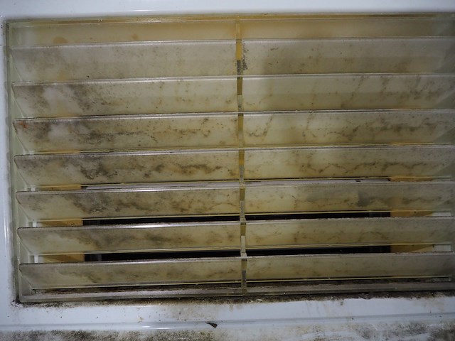 Rentokil - afbeelding 3 van  4