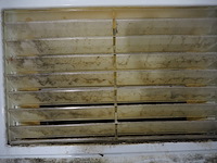 Rentokil - afbeelding 3 van  4