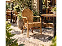 Restaurantstoel rotan (19x)