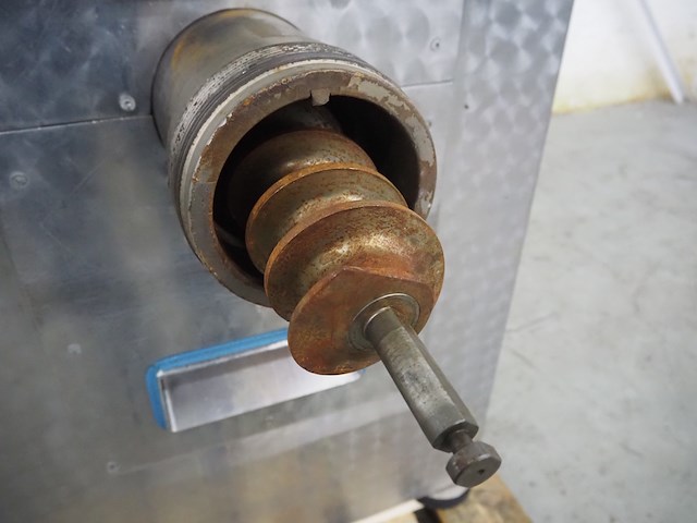 Rex - afbeelding 5 van  17