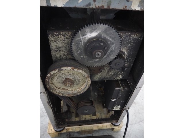 Rex - afbeelding 7 van  17