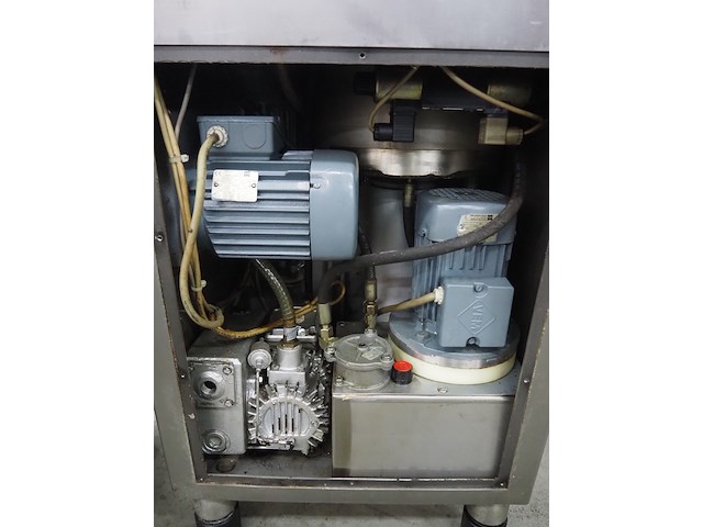 Rex - afbeelding 6 van  17