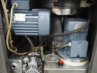 Rex - afbeelding 6 van  17