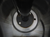 Rex - afbeelding 15 van  17