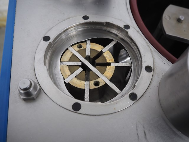 Rex - afbeelding 17 van  17