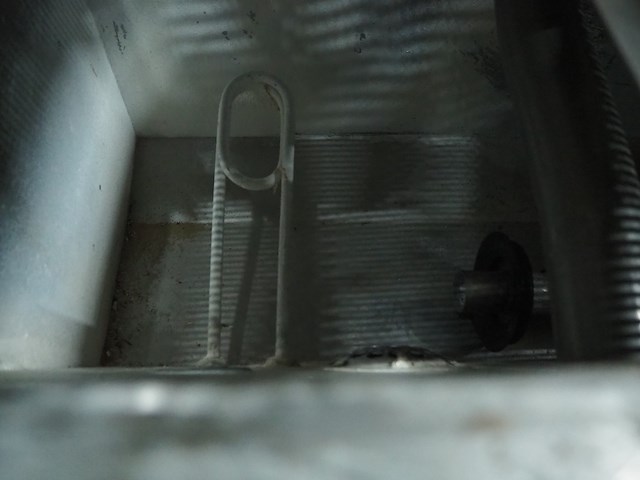 Rhima - afbeelding 6 van  7